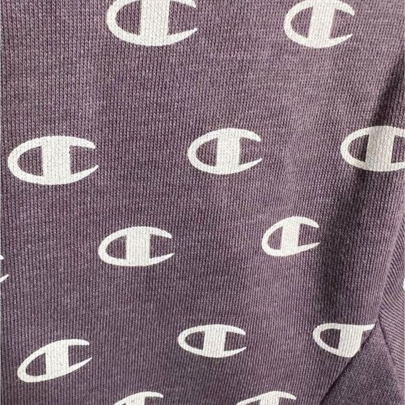 Champion Pullover - Picture 3 of 5